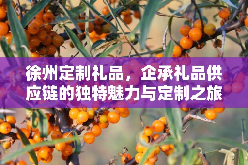 徐州定制礼品，企承礼品供应链的独特魅力与定制之旅